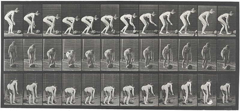 sequences of still images explaining movement - by Eadweard Muybridge
