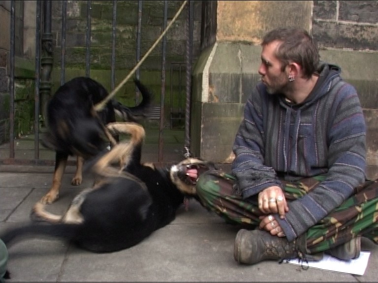 Bearded man sits outdoors cross-legged watching his dog roll and stretch on the street