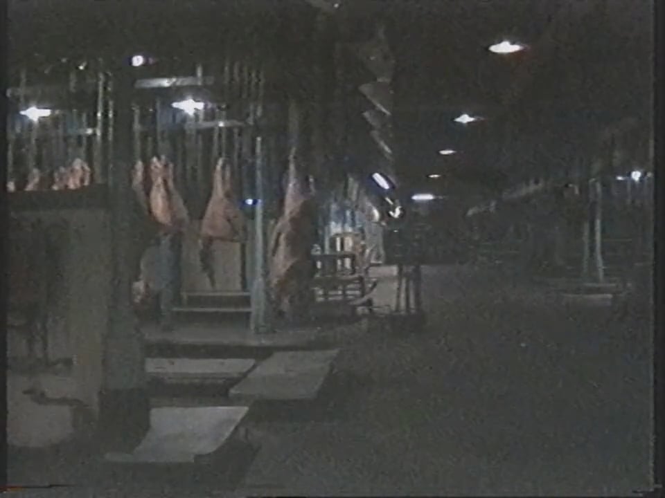 night inside a meat market with rows of carcases hanging from hooks. Image is of noticeably low resolution